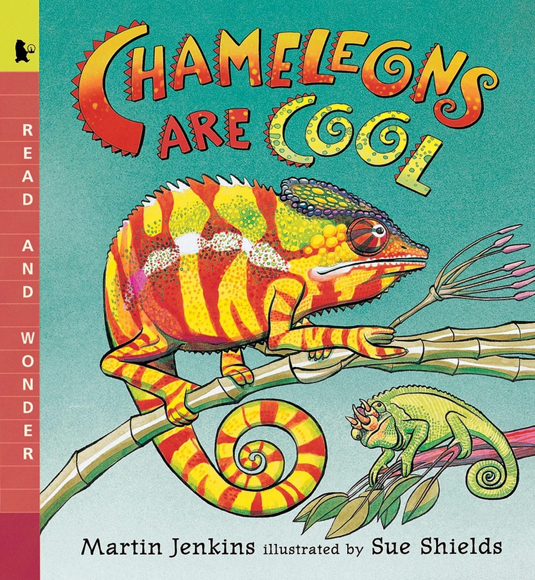Chameleons Are Cool - Candlewick Press