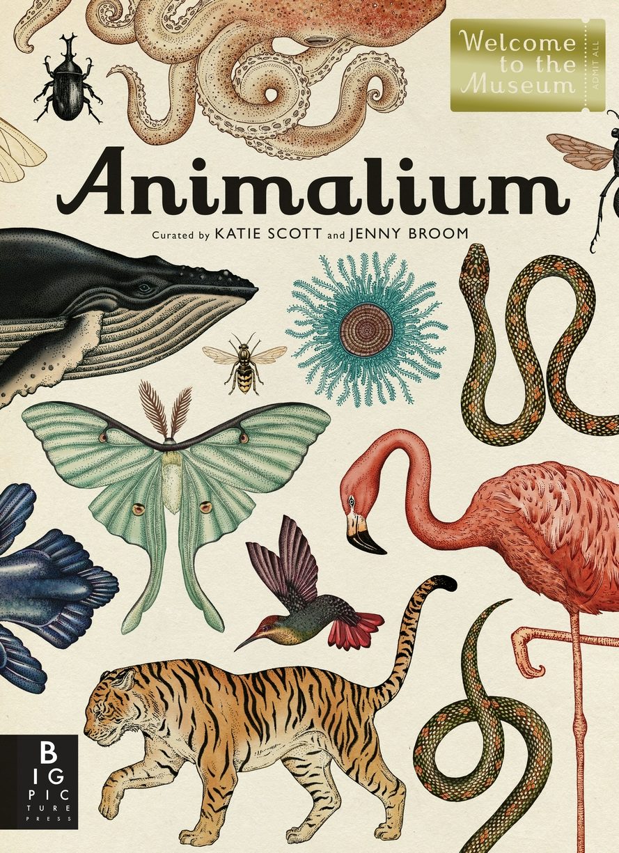 Animalium - Candlewick Press