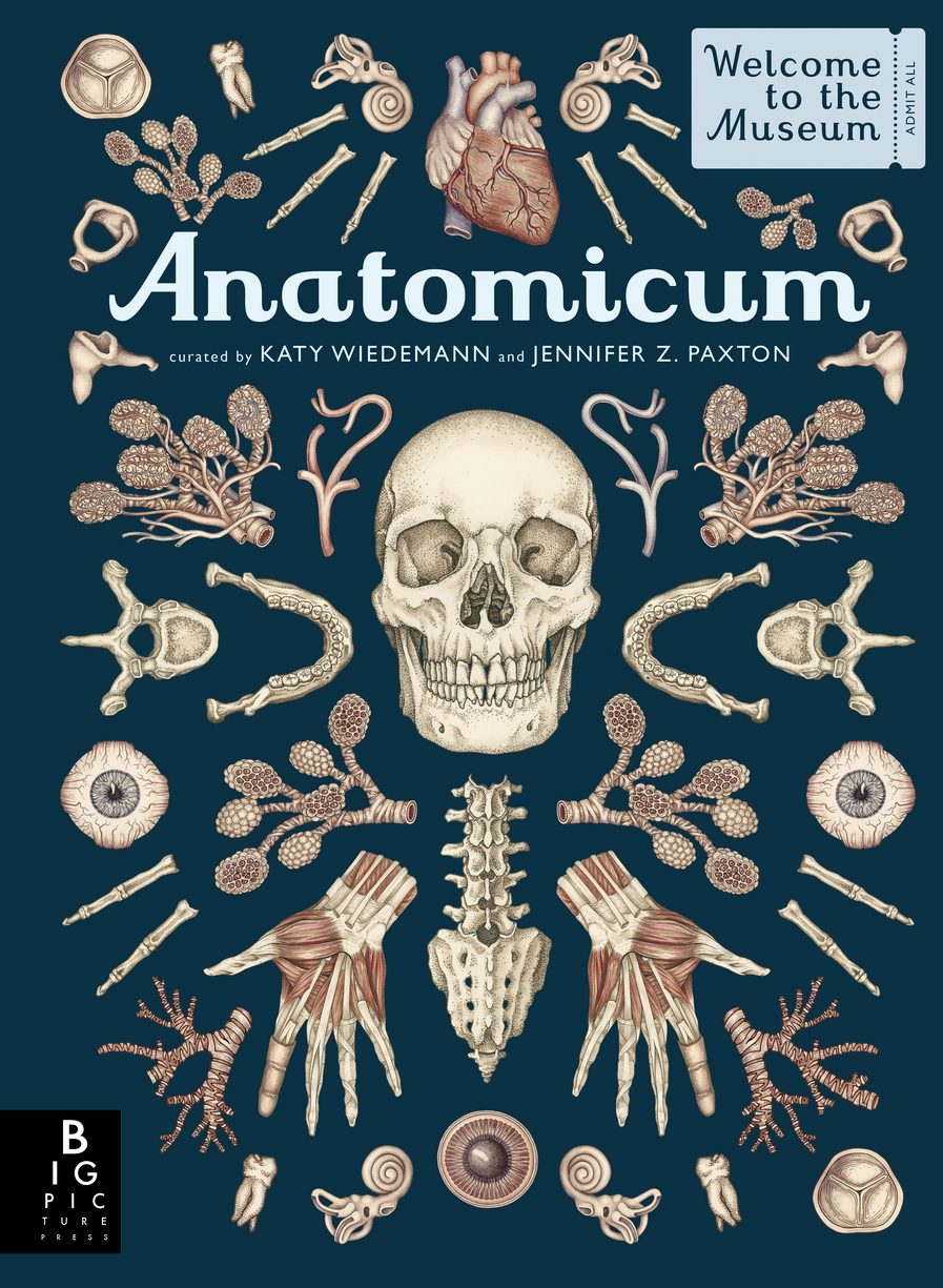 Anatomicum - Candlewick Press