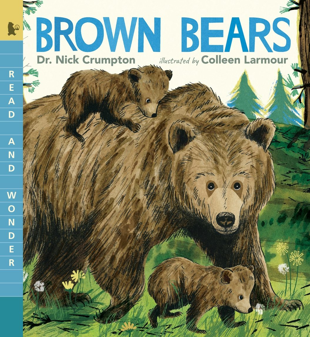 Brown Bears - Candlewick Press