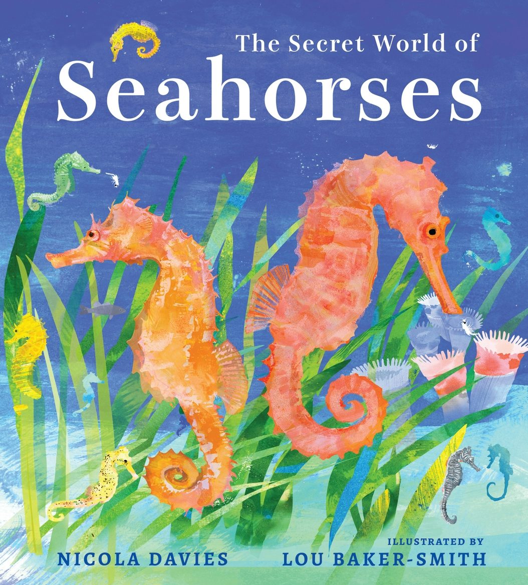 The Secret World of Seahorses - Candlewick Press