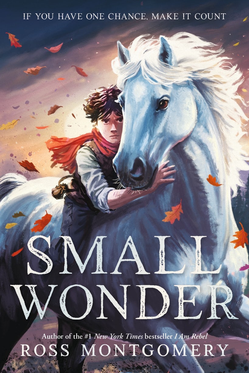 Small Wonder - Candlewick Press