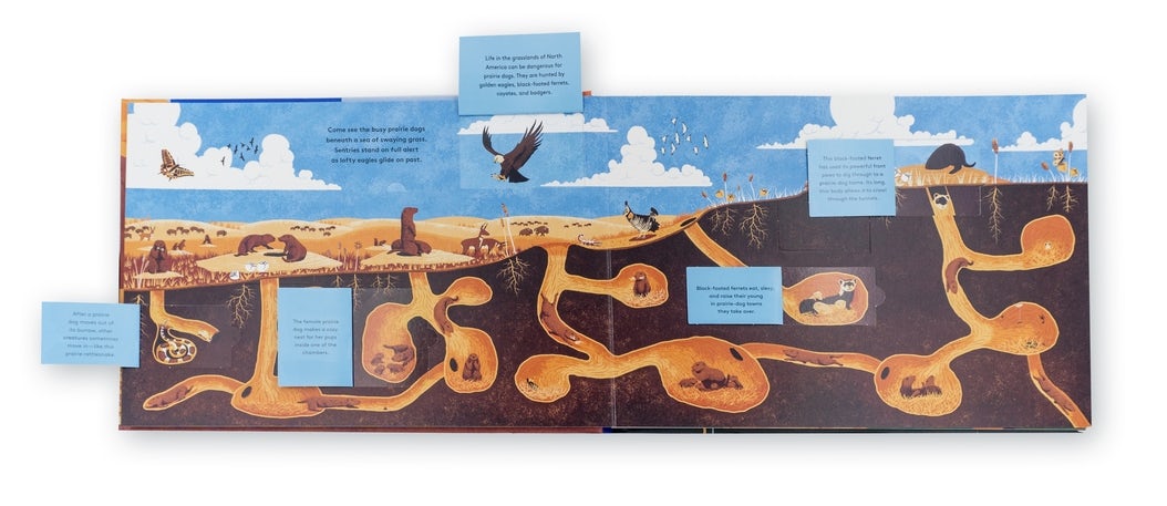 Walk This Underground World - Candlewick Press