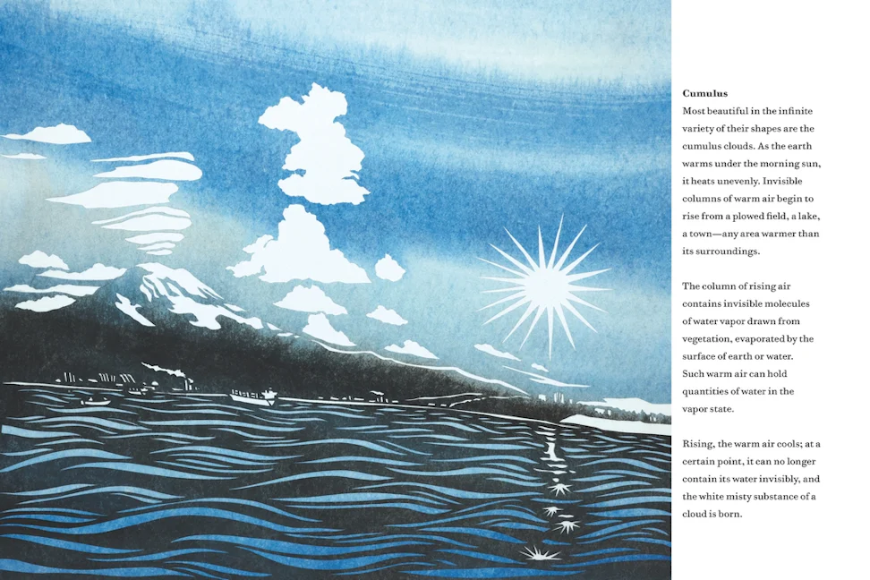 Something About the Sky Candlewick Press