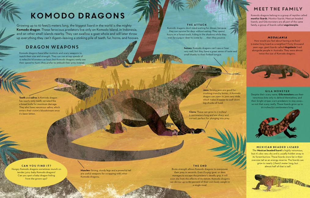 Reptiles Everywhere - Candlewick Press