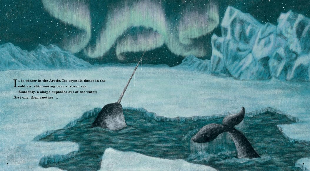Narwhal: The Arctic Unicorn - Candlewick Press