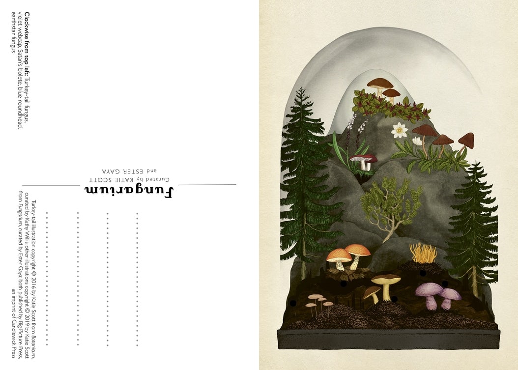 Botanicum & Fungarium 3冊セット Fungarium Postcard Box Set - Candlewick Press