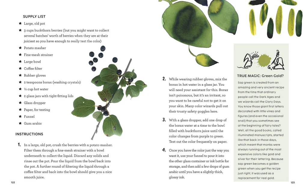 How to Be a Color Wizard: Forage and Experiment with Natural Art Making ...
